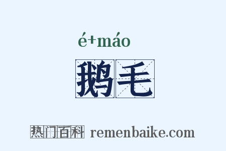 鹅毛是什么意思的图片